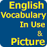 English Vocabulary In Use with Picture2.5.9