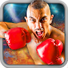 Play Boxing Games 2016 icon