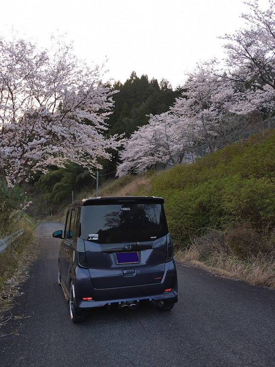 デイズルークスのスマホ落として液晶大破～の・最初からやり直し・桜コラボ🌸に関するカスタム事例の投稿画像1枚目