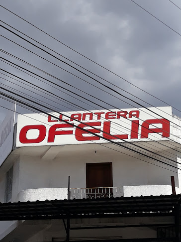 Opiniones de Llantera Ofelia en Quito - Tienda de neumáticos