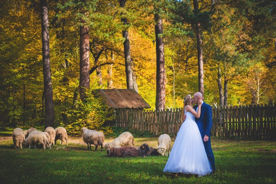 Fotógrafo de bodas Alicja Mróz (alicjamroz). Foto del 20 de febrero 2018