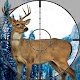 Stag Hunter Download on Windows
