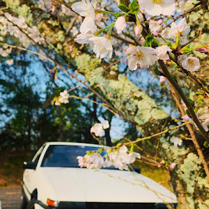 スプリンタートレノ AE86