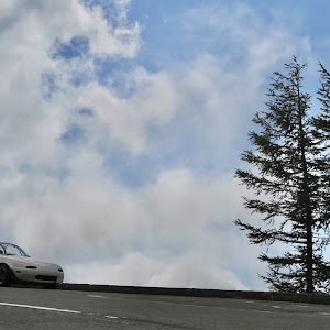 ロードスター NA8C