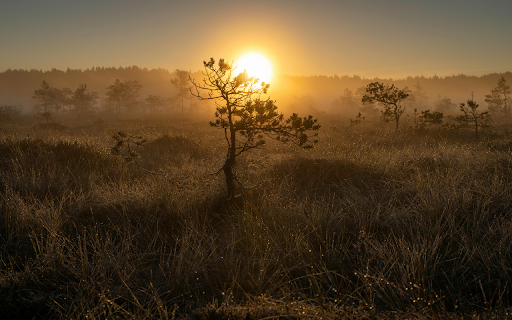 early morning sunrise screenshot 1