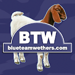 Blue Team Wethers Apk