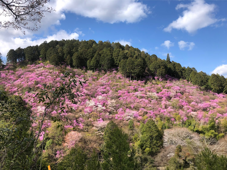 の投稿画像2枚目