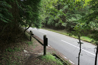 ここから10mほど道路を歩く