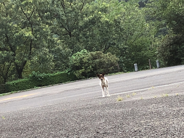 の投稿画像3枚目