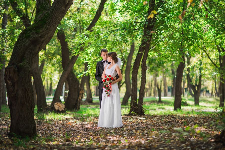 Photographe de mariage Andrey Kiselev (andkiselev). Photo du 12 avril 2016