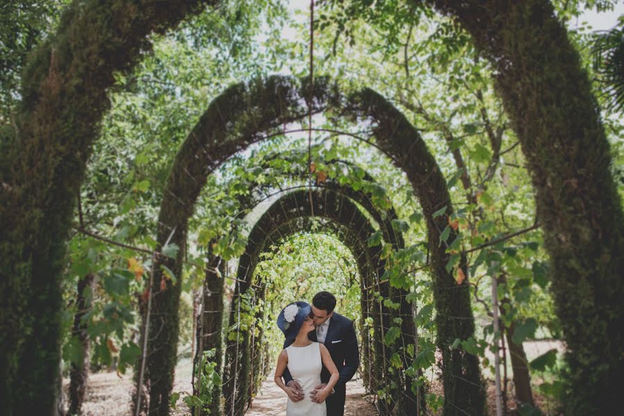 Wedding photographer Fran Ménez (franmenez). Photo of 8 August 2016