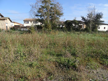 maison neuve à Dieupentale (82)