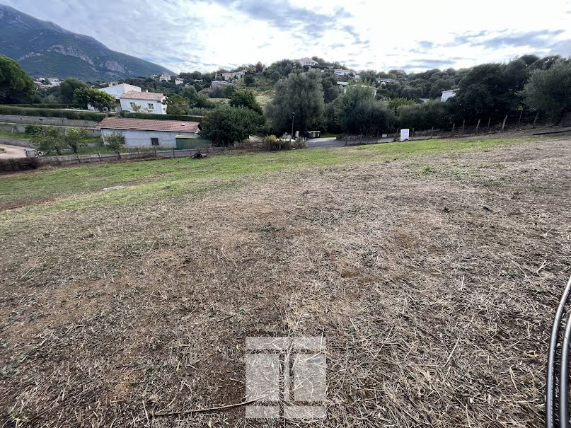 Vente terrain  1316 m² à Bastelicaccia (20129), 295 000 €