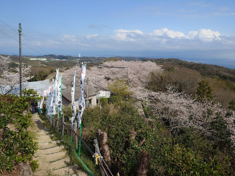 86のごんぎつねの湯・カフェ　アリガト・まちの駅　味の蔵たけとよ・桜公園・知多半島ドライブに関するカスタム事例の投稿画像9枚目