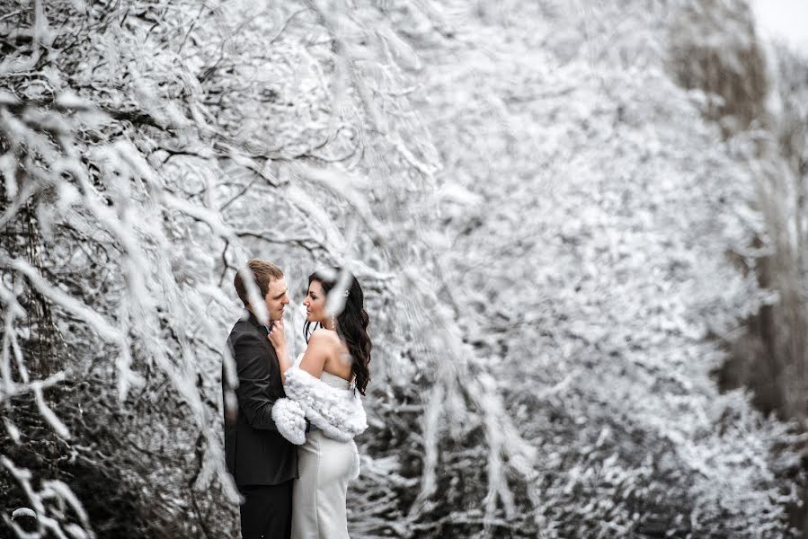 Fotografo di matrimoni Denis Marchenko (denismarchenko). Foto del 15 giugno 2016