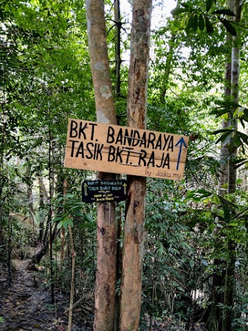 Setia Alam Community Forest SACF Bukit Bandaraya Tasil Bukit Bandaraya