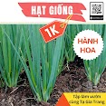 Deal 1K - 60 Hạt Giống Hành Hoa (Hành Lá) Cao Sản - Tập Làm Vườn Cùng Tạ Gia Trang