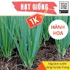 Deal 1K - 60 Hạt Giống Hành Hoa (Hành Lá) Cao Sản - Tập Làm Vườn Cùng Tạ Gia Trang