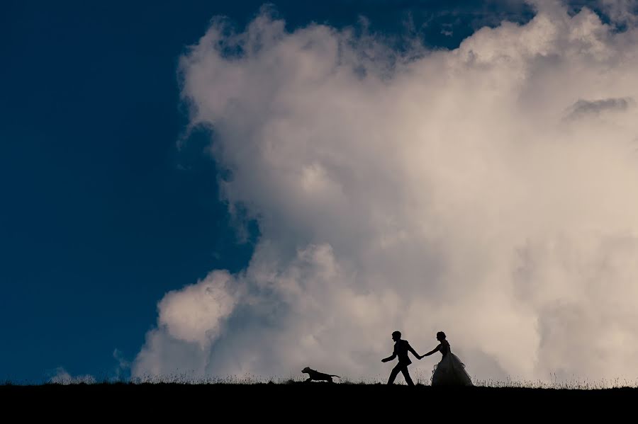 Fotografo di matrimoni Andra Dragan (andradragan). Foto del 8 giugno 2015