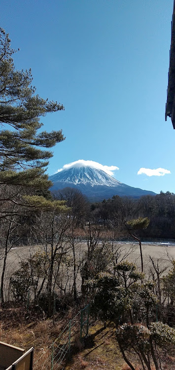 の投稿画像4枚目