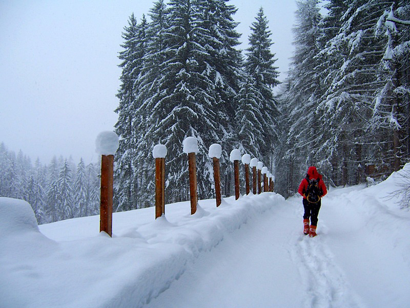 Camminare nel silenzio di lucaldera