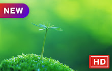 "Green Plants" Hot Scenery HD New Tabs Theme small promo image