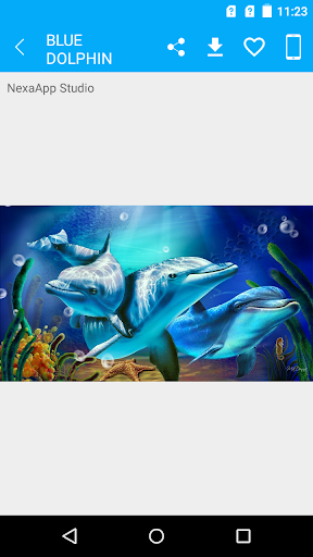 Blue Dolphin Wallpaper