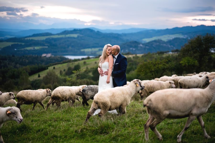 Fotógrafo de casamento Monika Klich (bialekadry). Foto de 9 de abril 2019