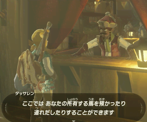 ゼルダBotw＿所有馬の登録方法