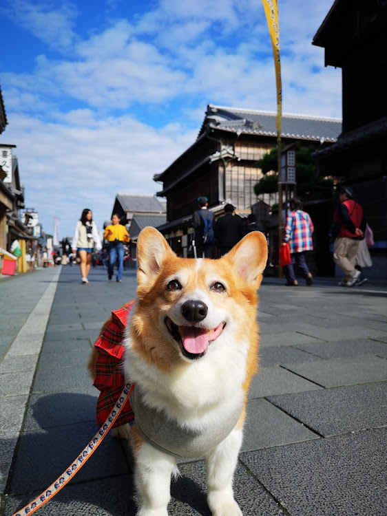 の投稿画像9枚目