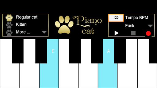 Tuned piano cat