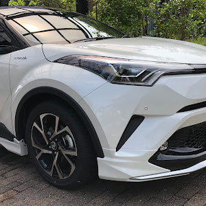 C-HR ZYX10