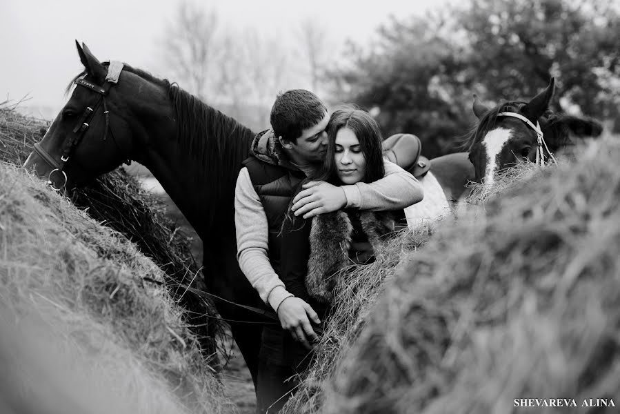 Fotografo di matrimoni Alina Shevareva (alinafoto). Foto del 5 dicembre 2017