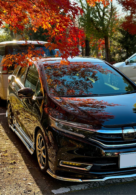 シャトルの写活の秋・紅葉と愛車・シャトラー！・シャトルラン・秋は短いに関するカスタム事例の投稿画像4枚目
