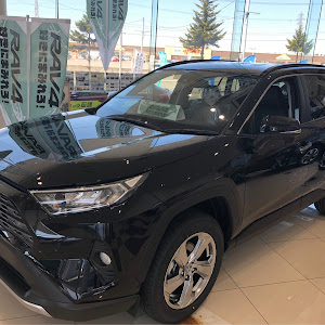 RAV4 ACA31W