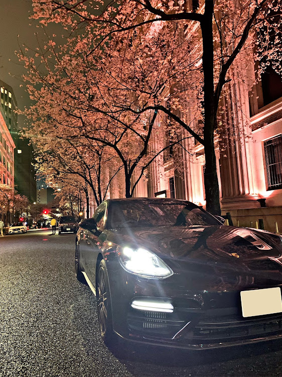 パナメーラの桜とコラボ・桜・サクラと愛車・春めき桜・車が好きな人と繋がりたいに関するカスタム事例の投稿画像1枚目