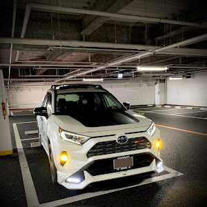 RAV4