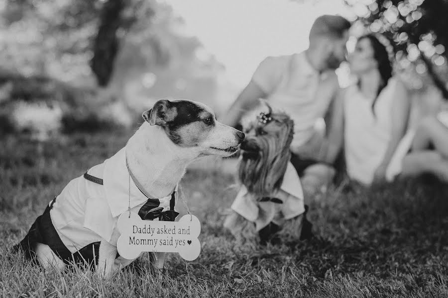 Fotografo di matrimoni Marco Martins (nodestudio). Foto del 14 febbraio 2019