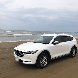 CX-8 KG2P