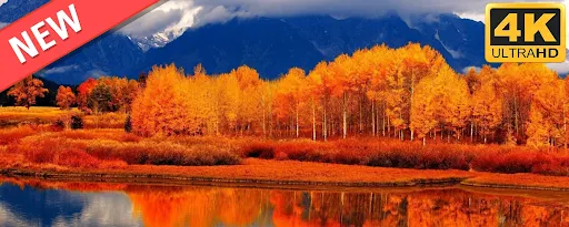 Hello Autumn Fall HD Wallpapers Nature Theme marquee promo image