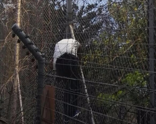 Bonginkhosi Nxumalo, one of six men who tried to escape from the Empangeni prison last Monday, could not even make it out of the grounds after getting trapped in barbed wire fencing. Picture: SUPPLIED