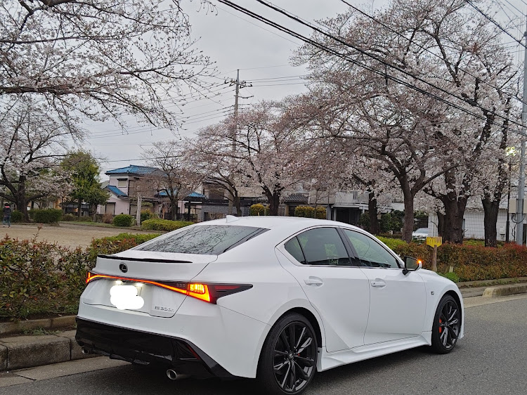 ISの4月もよろしくお願い致します🌸・桜コラボ・サクラと愛車に関するカスタム事例の投稿画像4枚目
