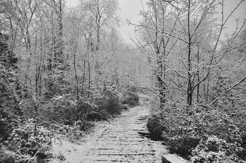 STAIRWAY TO SNOW HEAVEN di Jacopo Bianco