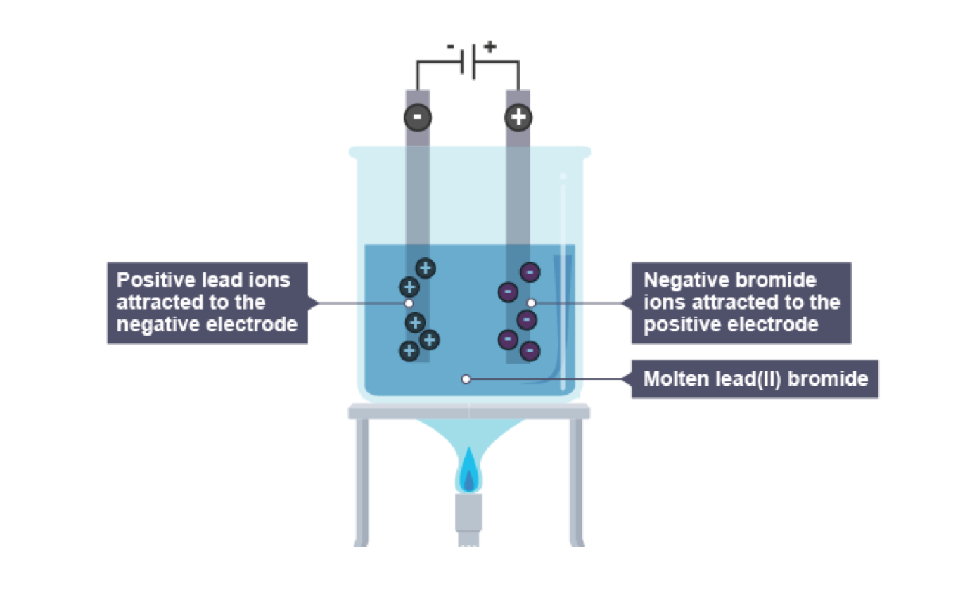 a student makes a hypothesis when different salt solutions