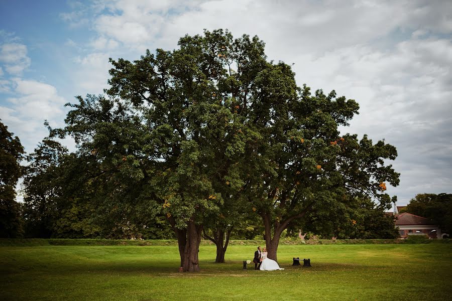 Wedding photographer Aleksandr Medvedev (medveds). Photo of 1 September 2014