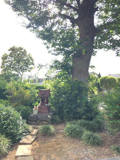 保存指定樹木 けやき の祭壇