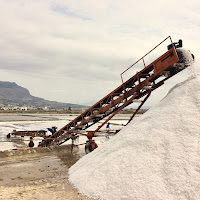 La raccolta del sale marino di 