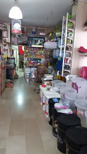 Amazon Petshop | Maltepe İstanbul - Evcil hayvan mağazası