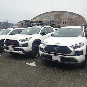 RAV4 MXAA54