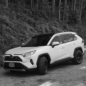 RAV4 MXAA54